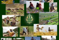 حمایت ۳۶ هزار میلیارد ریالی بانک کشاورزی از اشتغال مددجویان کمیته امداد و بهزیستی