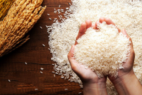 اقدام مهم در شناسایی مشکلات واردات برنج و حذف گلوگاه فساد در کشور