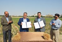 امضای تفاهم‌نامه همکاری مشترک پژوهشی بین پژوهشگاه بیوتکنولوژی کشاورزی و موسسه تحقیقات اصلاح و تهیه نهال و بذر