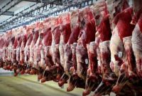 افزایش ۴۱۱ درصدی واردات گوشت قرمز