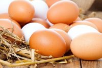 ایران رتبه نهم جهانی تولید تخم‌مرغ در شش ماهه دوم سال ۱۴۰۲ایران رتبه نهم جهانی تولید تخم‌مرغ در شش ماهه دوم سال ۱۴۰۲
